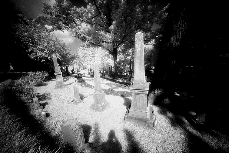 Oak Hill - by chuckv