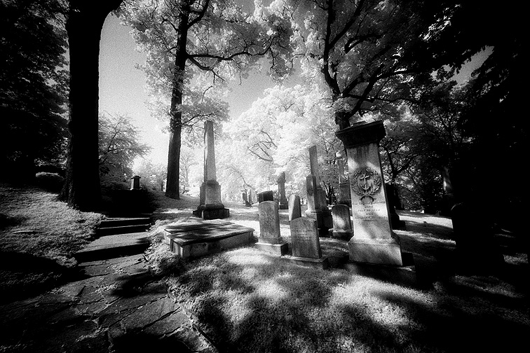 Oak Hill - by chuckv
