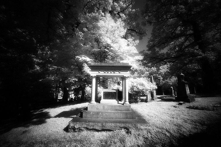 Oak Hill - by chuckv