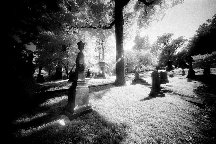 Oak Hill - by chuckv