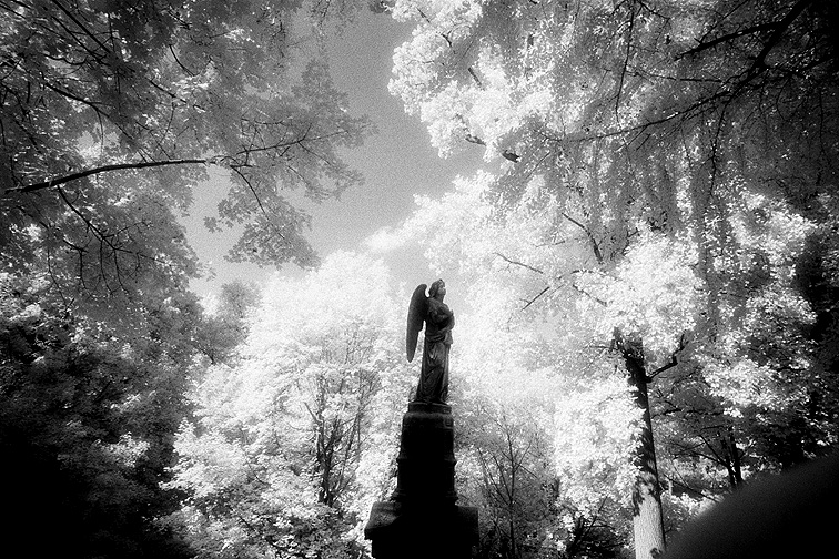 Oak Hill - by chuckv
