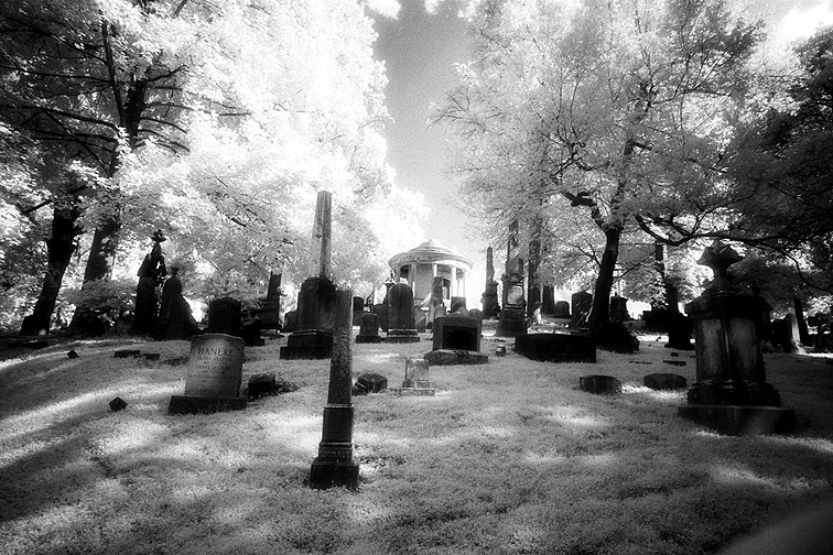 Oak Hill - by chuckv