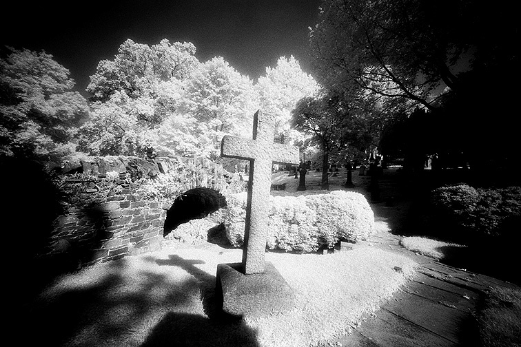 Oak Hill - by chuckv