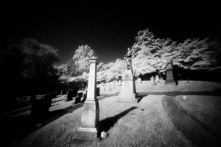 Oak Hill - by chuckv