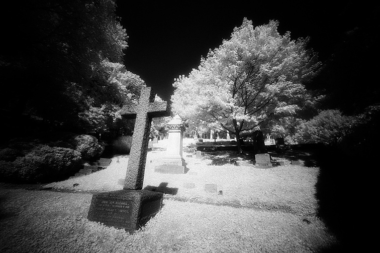 Oak Hill - by chuckv