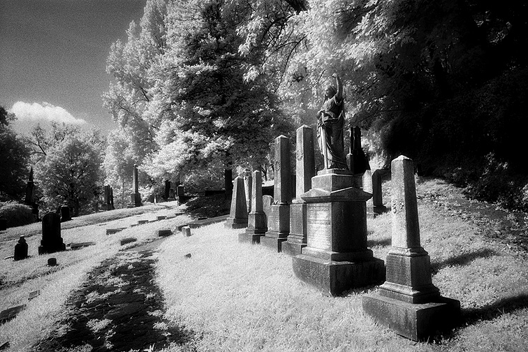 Oak Hill - by chuckv