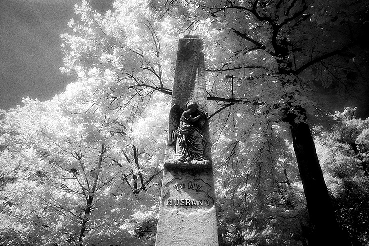 Oak Hill - by chuckv