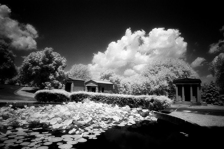 Rock Creek - by chuckv