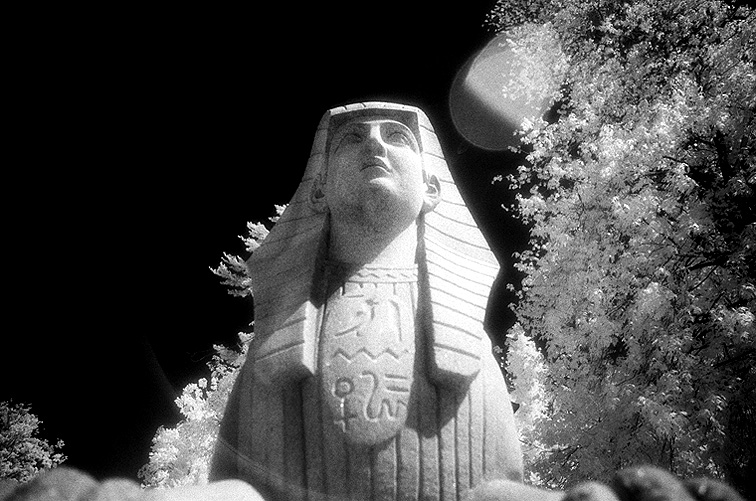 Forest Lawn - by chuckv