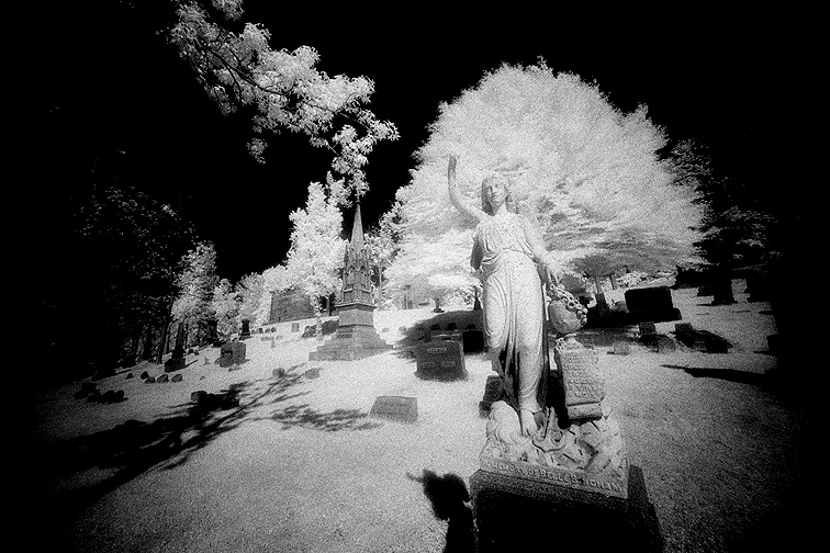 Forest Lawn - by chuckv