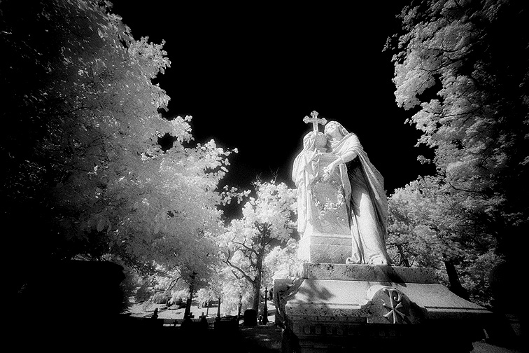 Forest Lawn - by chuckv