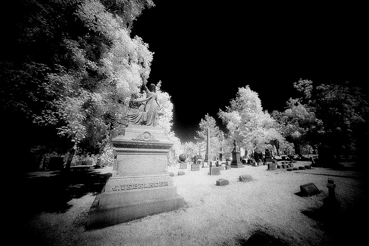 Forest Lawn - by chuckv