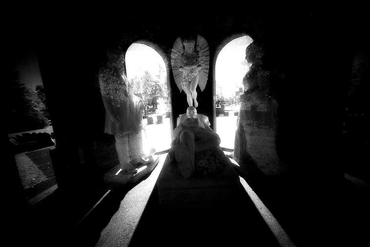 Forest Lawn - by chuckv