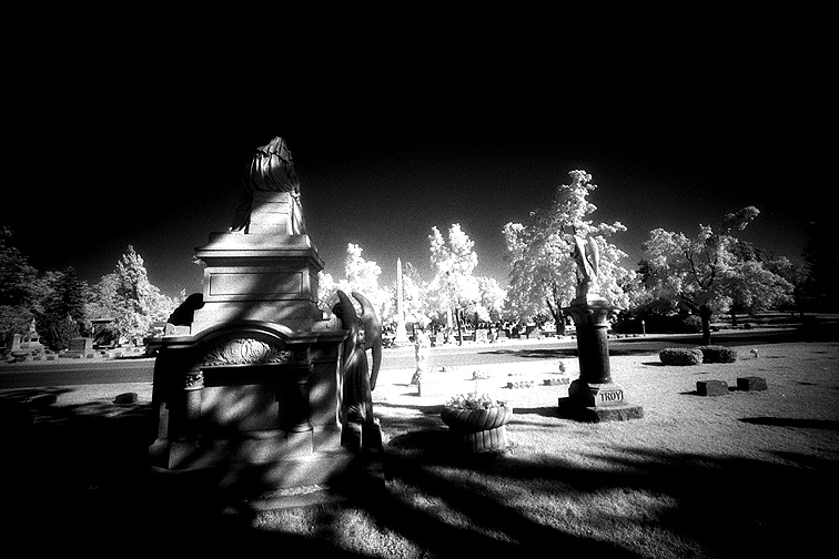 Forest Lawn - by chuckv