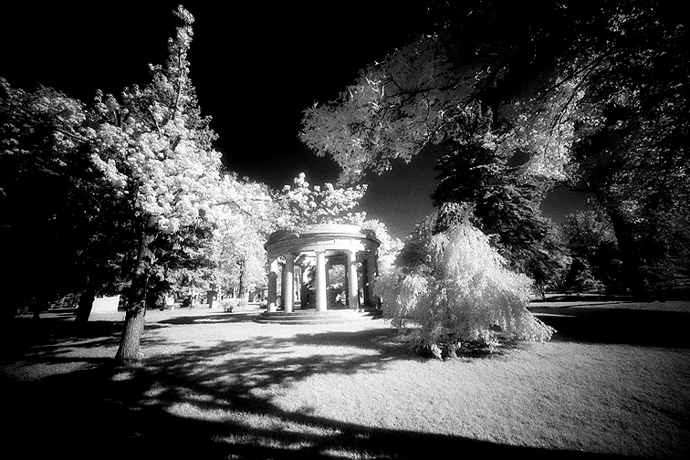 Forest Lawn - by chuckv