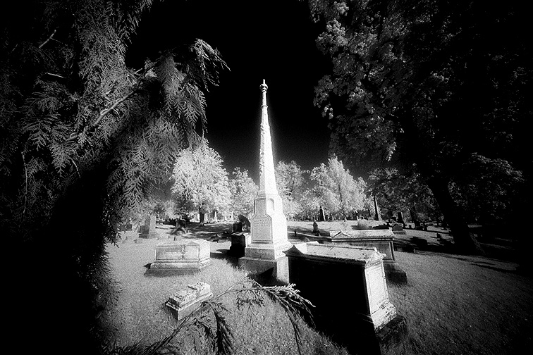 Forest Lawn - by chuckv