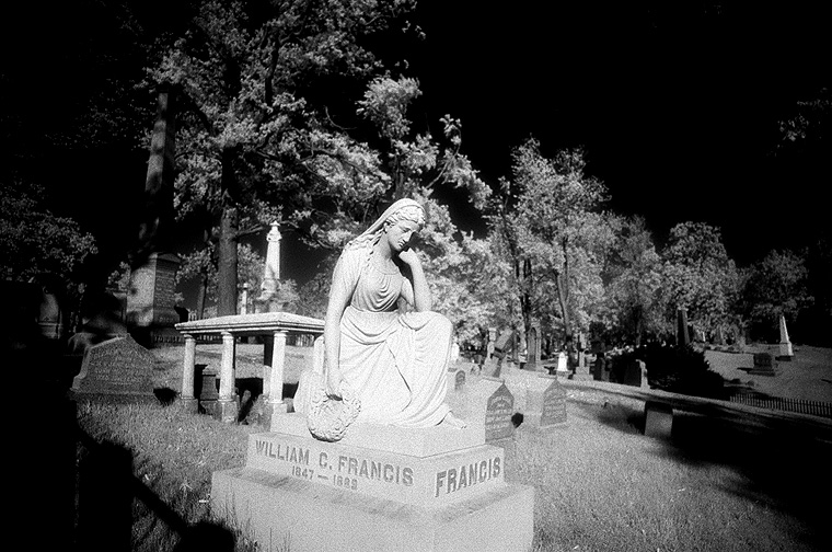 Forest Lawn - by chuckv