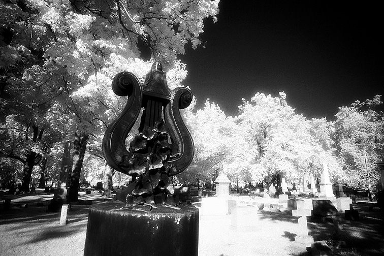 Forest Lawn - by chuckv