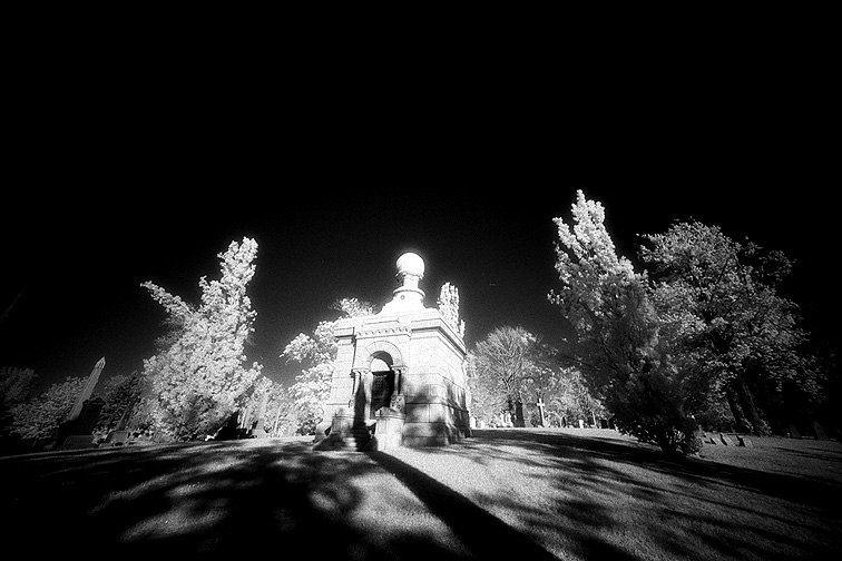 Forest Lawn - by chuckv