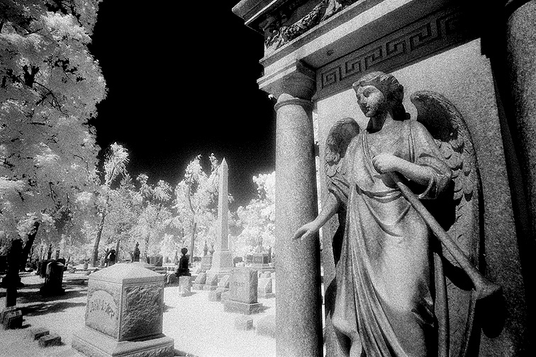 Forest Lawn - by chuckv