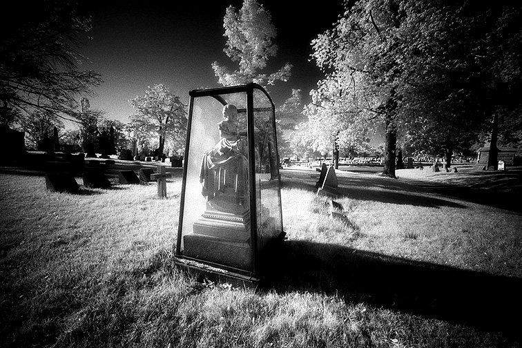 Forest Lawn - by chuckv