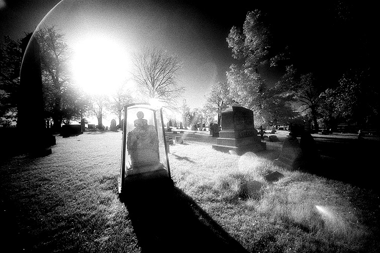 Forest Lawn - by chuckv