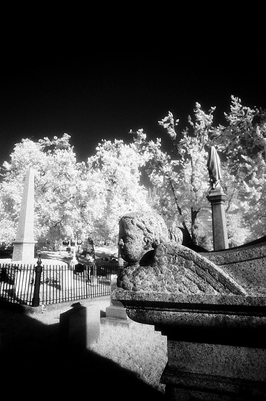 Forest Lawn - by chuckv