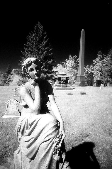 Forest Lawn - by chuckv