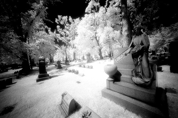 Forest Lawn - by chuckv