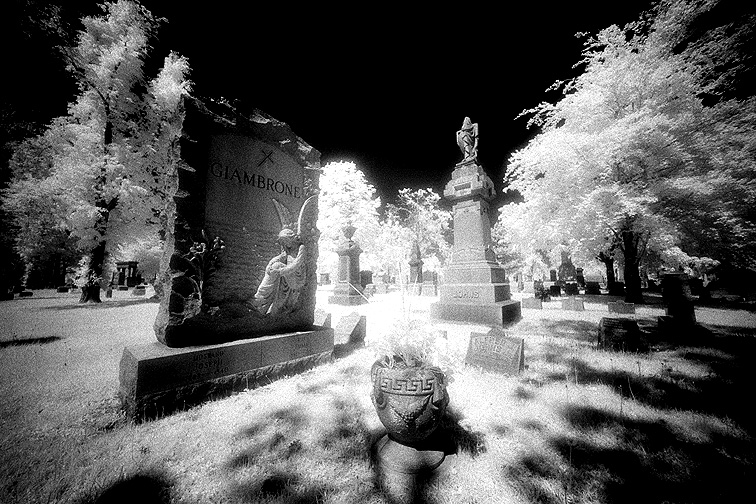 Forest Lawn - by chuckv