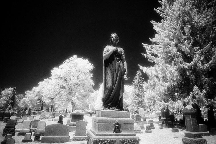 Forest Lawn - by chuckv