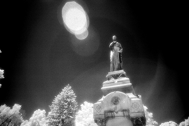 Forest Lawn - by chuckv