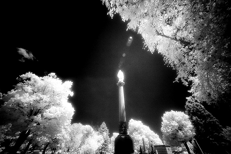 Forest Lawn - by chuckv