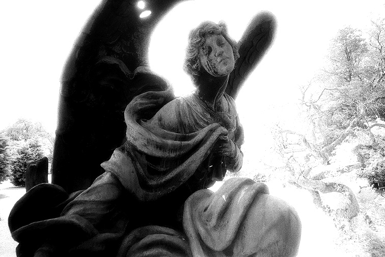 Gate of Heaven - by chuckv