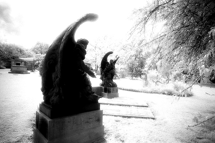 Gate of Heaven - by chuckv