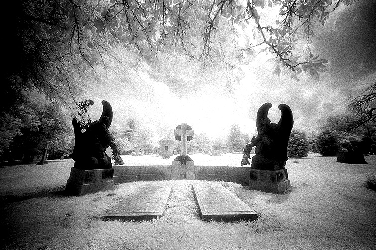Gate of Heaven - by chuckv