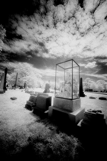 Graceland - by chuckv