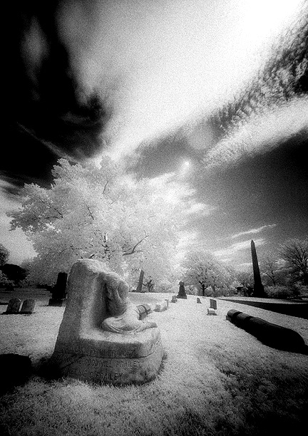 Graceland - by chuckv