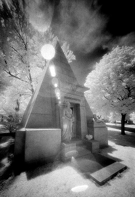 Graceland - by chuckv