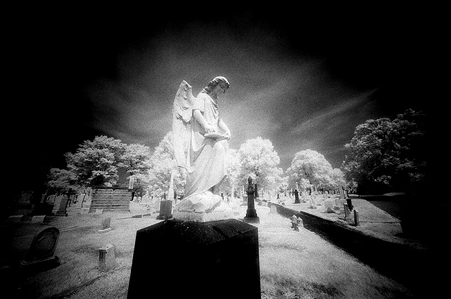 Greenmount - by chuckv