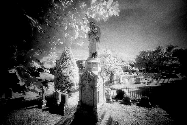 Greenmount - by chuckv