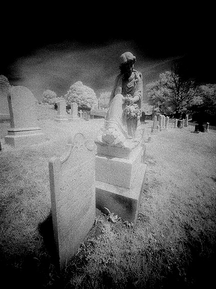 Greenmount - by chuckv