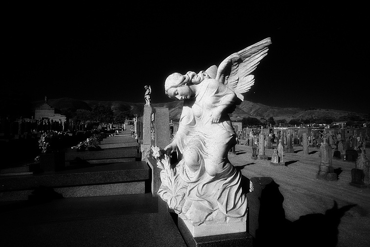 The Italian Cemetery - by chuckv
