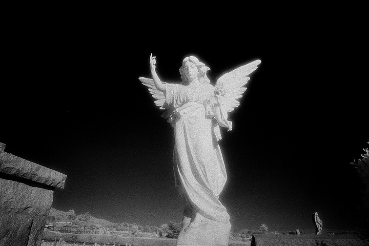 The Italian Cemetery - by chuckv