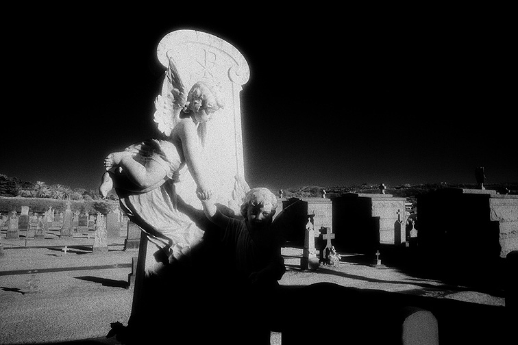 The Italian Cemetery - by chuckv