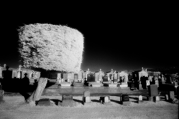 The Italian Cemetery - by chuckv