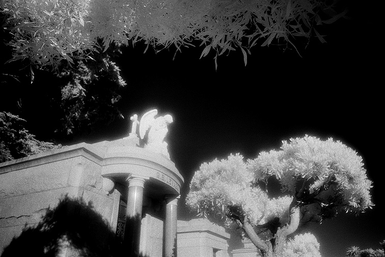 The Italian Cemetery - by chuckv