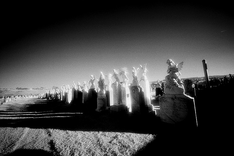 The Italian Cemetery - by chuckv