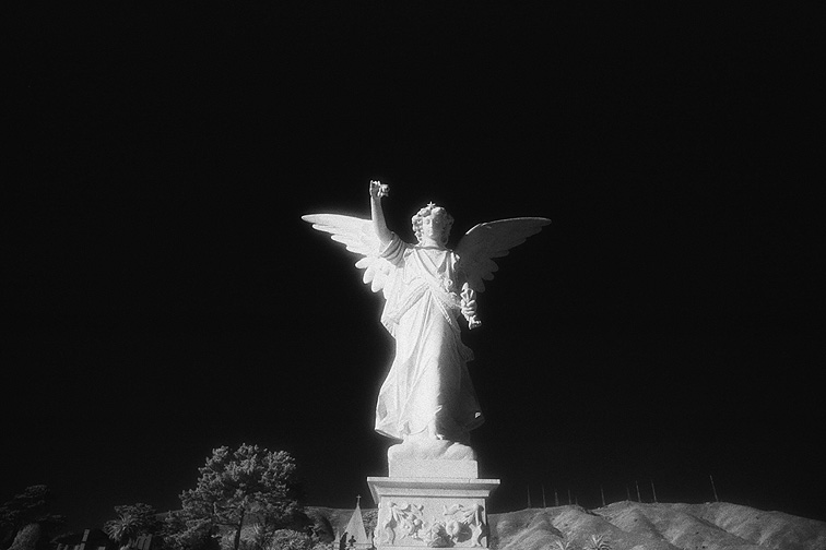 The Italian Cemetery - by chuckv