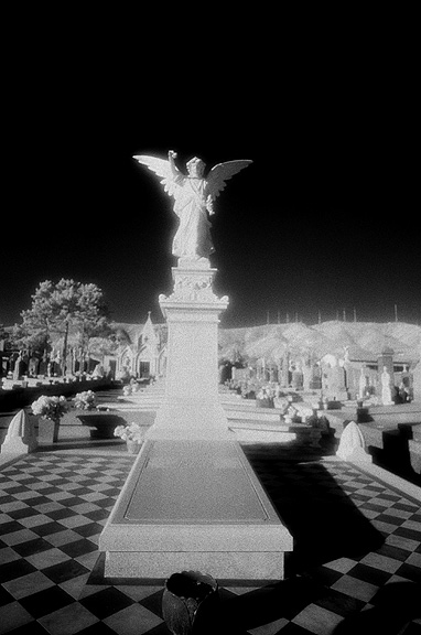 The Italian Cemetery - by chuckv